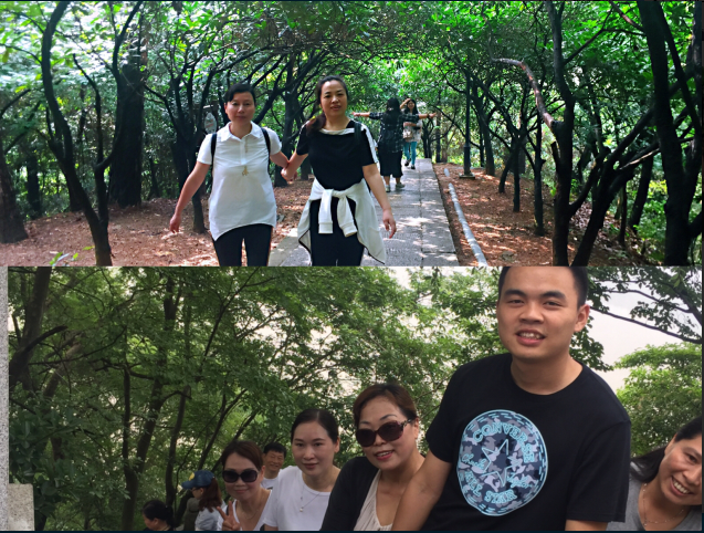 QQ图片20180515084844.png